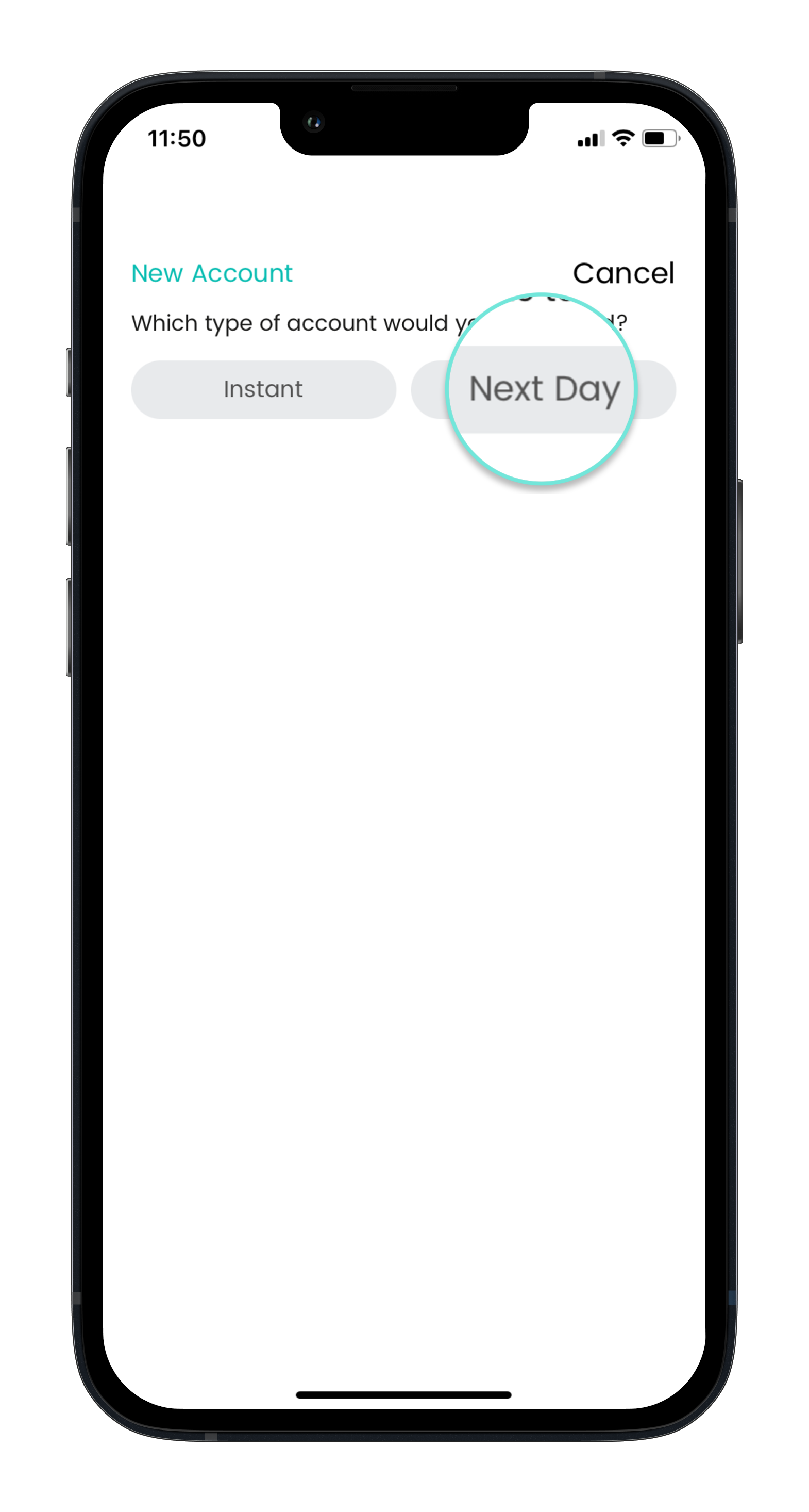 Next_Day_Transfer-portrait.png